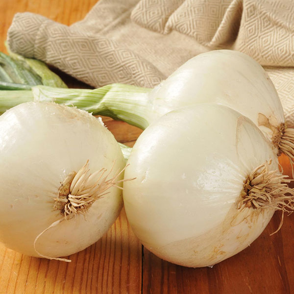 Barletta-Onion_600