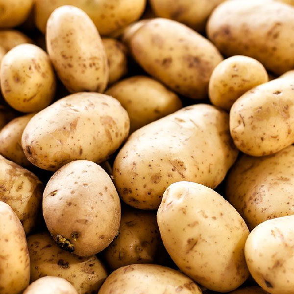 potato6